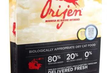 Caracteristici de alimentare ORIJEN pentru pisici, varietatea și expertize