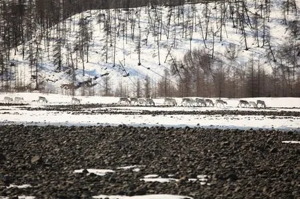 Много добри хора ненормално