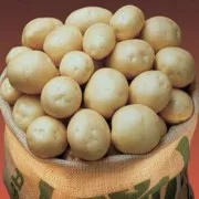 Защо да купувате елитни сортове картофи