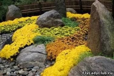 Японска градина от камъни с ръцете си