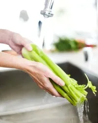 Fried zeller, zeller, hogyan kell főzni, ízletes és hasznos