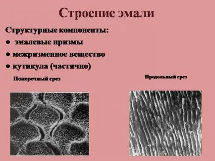 Зъбния емайл е значението на тази част от структурата, структурата, състава