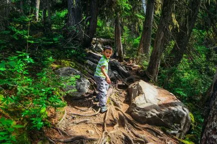 Joffre lacuri Pemberton, BC