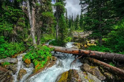 Joffre lacuri Pemberton, BC