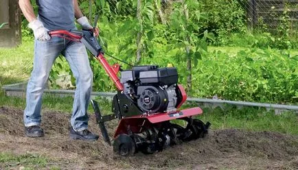 Hogyan lehet megszabadulni a tarackbúza, a kertben