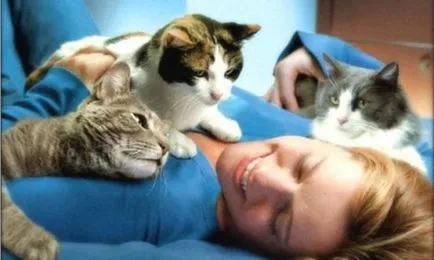 Котки покажат своята любов и приятелство във връзка с мъж - пресата фен - интересен и