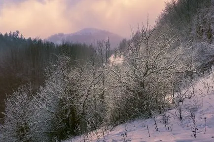 Fotózni téli fagy, és nem károsíthatja a fényképezőgépet