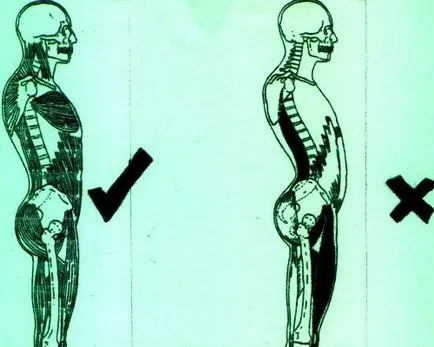 Как да се определи ви поза у дома правилната поза на гърба
