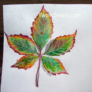 Hogyan kell felhívni egy őszi levél akvarell, kreativitás - ilyen az élet!