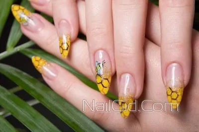 Как да се направи пчела върху ноктите - стъпка по стъпка маникюр със снимки и видео