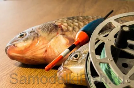 Hogyan lehet elkapni ponty a felszínen - házi halászati ​​kezük