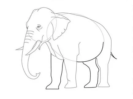 Cum de a desena un elefant cu un creion în etape pentru copii, ls