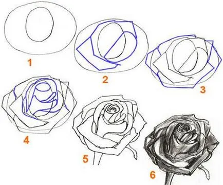 Как да се направи една роза - моят живот
