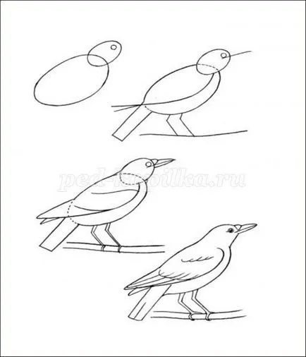 Как да се направи молив сврака стадии 2