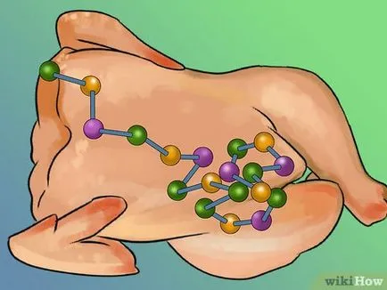 Cum de a calcula caloriile de proteine