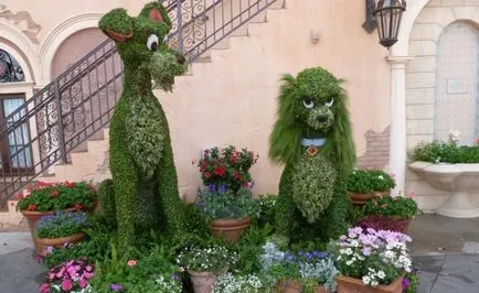 Cum sa faci o coafura plante topiary