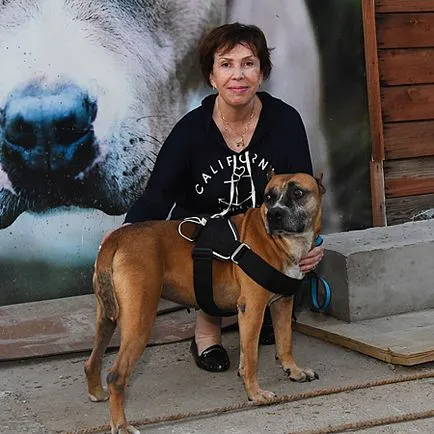 Deoarece există adăposturi pentru câini vagabonzi din Moscova, un oraș, time-out