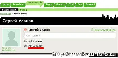 Как да се инсталира на вашия сайт различен мобилен телефон ICQ - кампания грамотност компютър