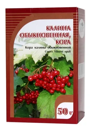 Red viburnum nő a kertben területen; használja gyógyászati ​​célokra gyümölcsök, virágok és