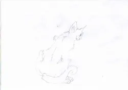 Котки - стъпка по стъпка уроци по рисуване