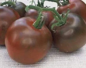 zahar brun, tomatelor original