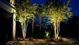 Tájkép fák megvilágítása és intelligens otthon