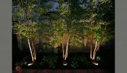 Tájkép fák megvilágítása és intelligens otthon
