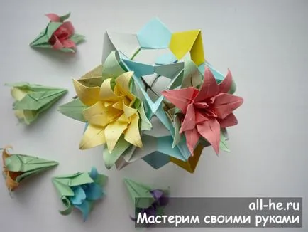 Kusudama elektrum, mindent ő