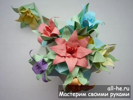 Kusudama elektrum, mindent ő