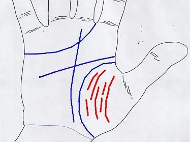 Linia de influență a oamenilor apropiați - palmistry Abarina Yuriya