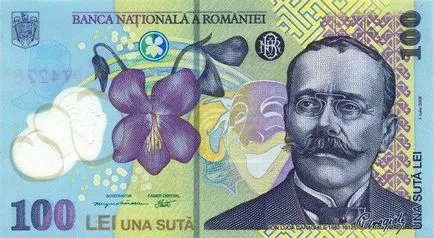 Ley - a nemzeti valuta Románia