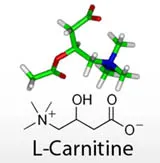 L-карнитин и неговата стойност за загуба на тегло