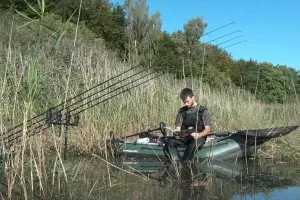 Prinderea reguli de bază crap de toamnă