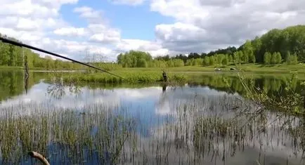 A legjobb módszer a fogása ponty a tavaszi - jellemzők és trükkök - halászat!