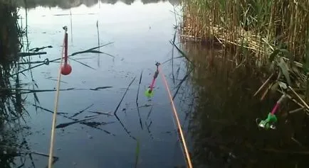 A legjobb módszer a fogása ponty a tavaszi - jellemzők és trükkök - halászat!