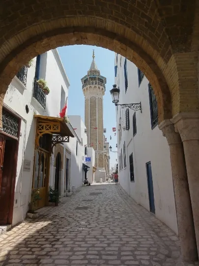 Moscheea Hamouda Pasha (moschee hammouda pacha), descrierea și fotografii