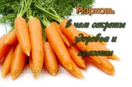 Морковите полза и вреда на организма