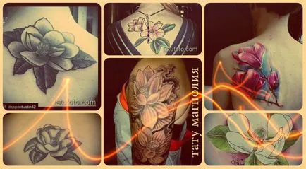 Значение татуировка магнолия смисъл, историята на тираж, снимки, скици, интересни факти