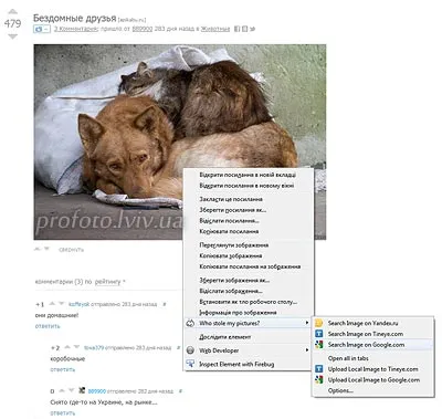 Găsiți duplicat fotografii de imagini pe Internet