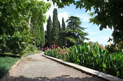 Nikitsky Grădina Botanică din Crimeea