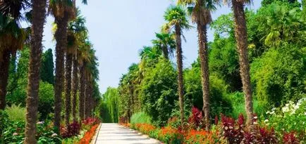 Nikitsky Növénykert Krím