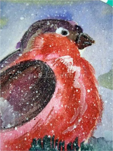 Bullfinch Karácsonyi kártya saját kezűleg