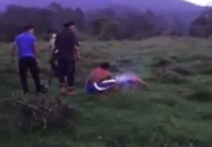 След като в Хондурас, банда непълнолетни хулигани обвързани с фойерверки куче избухна лошо