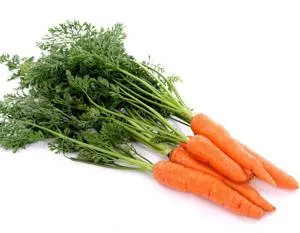 Beneficiile și pericolele de morcov