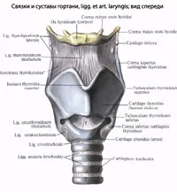 Burns a cailor respiratorii pulmonare, faringe, laringe