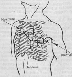 Vezet az égen - az anatómiai és fiziológiai alapjai EKG - Instruction