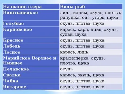 Езера и изкуствени водоеми в региона на Калининград - география, презентации