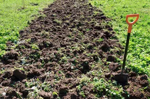 Fie că săpa o grădină de legume în toamna dacă să o facă, calendarul și caracteristici