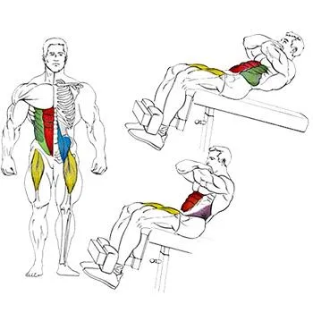 Ridicarea biceps mreana în picioare
