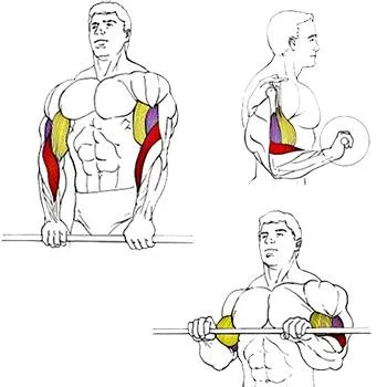 Вдигане мряна бицепс, застанали